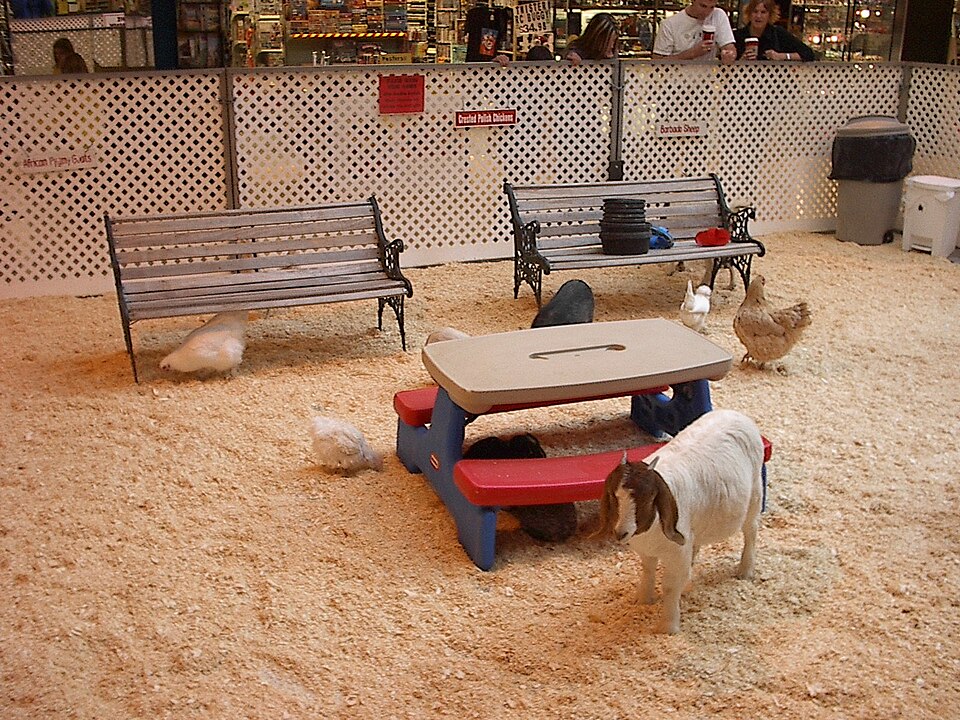 Kinderboerderij “De Hertenkamp”