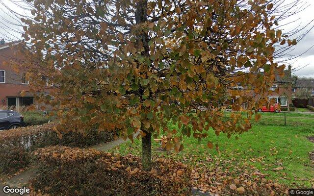 Speeltuin Groenhoven